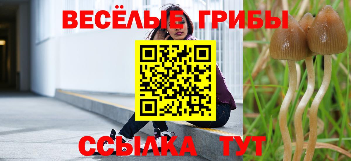 Ишим  Галлюциногенные грибы Psilocybe  Псилоцибиновые грибы мицелий  Вход с VPN 